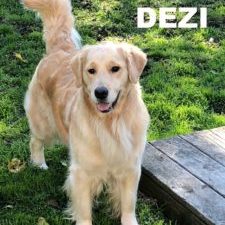 Dezi_Outside2