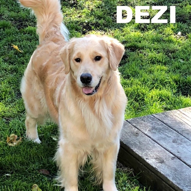 Dezi_Outside2