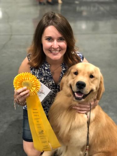 placed 3rd in class at Golden Retriever National Specialty